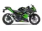 Ninja 300 KRT Edition Side View