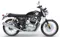 RE Interceptor 650 in Mark Three Color RE Interceptor 650 in Mark Three Color