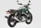 Royal Enfield Interceptor 650 Cali Green Rear 3-Quarter View