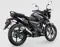 TVS Raider 125 Black Panther Edition Rear 3-Quarter View