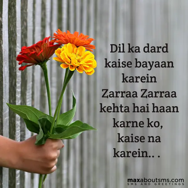 Cool Shayari Greetings Wishes: Dil ka dard kaise ba