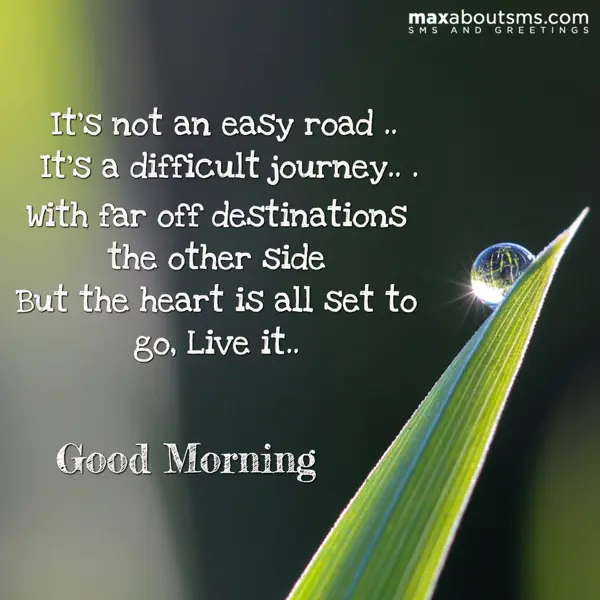 Good Morning Greetings Wishes: It’s not an easy roa