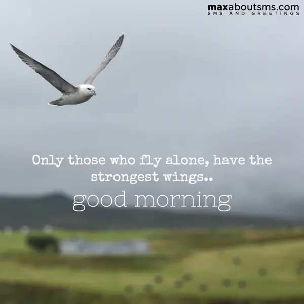 Good Morning Greetings Wishes: Only those who fly a