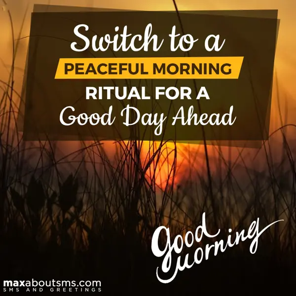 Good Morning Greetings Wishes: Switch to a peaceful