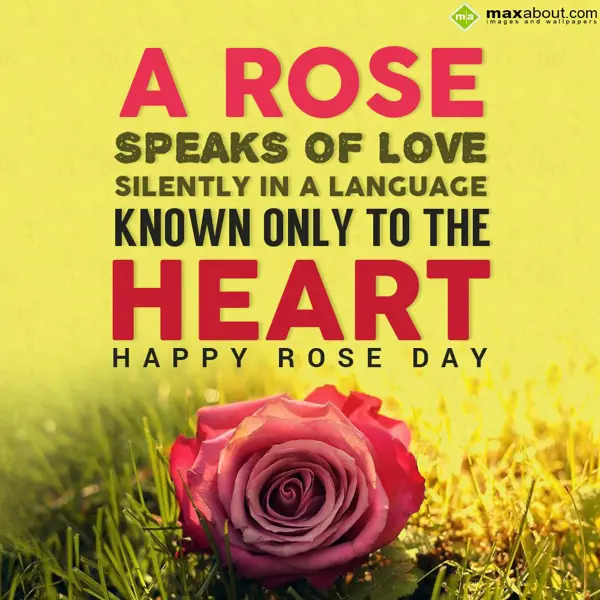 Rose Day Greetings Wishes: A Rose speaks of lov