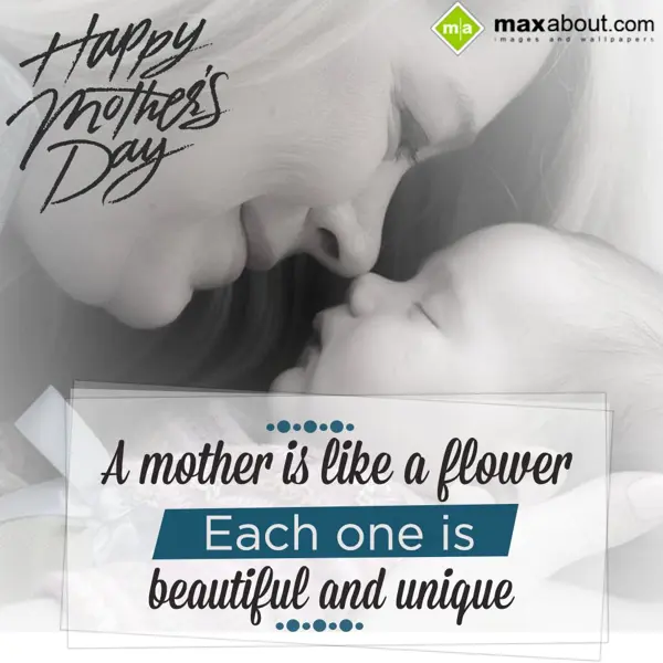 Mother Day Greetings Wishes: A Mother Is Like A F