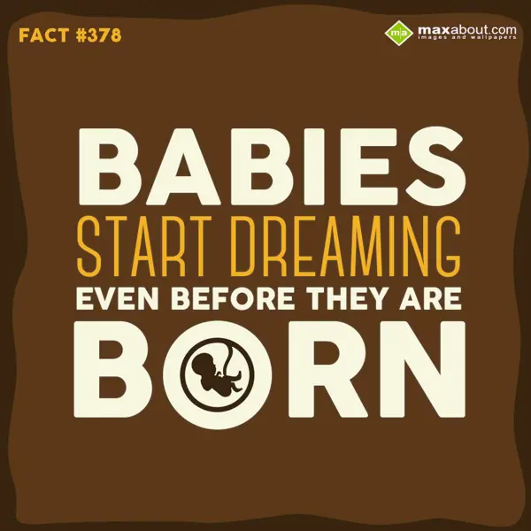 Facts Greetings Wishes: Babies start dreamin