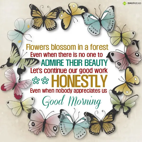 Good Morning Greetings Wishes: Flowers blossom in a