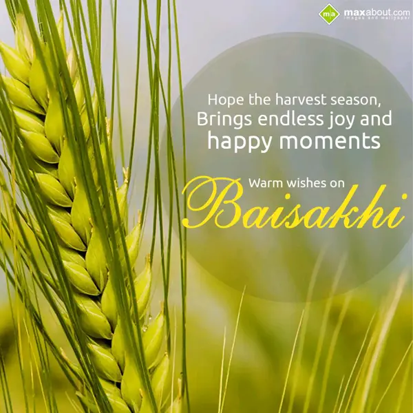 Baisakhi Greetings Wishes: Hope the harvest sea