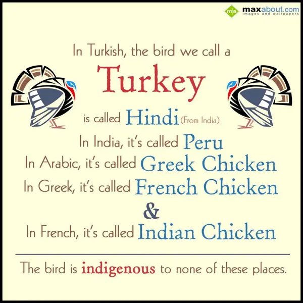 Animal Facts Greetings Wishes: In Turkish, the bird