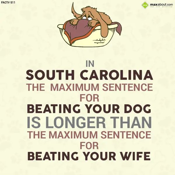 Country Facts Greetings Wishes: In South Carolina, t