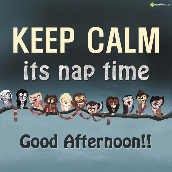 Afternoon Greetings Wishes: Keep calm its nap ti