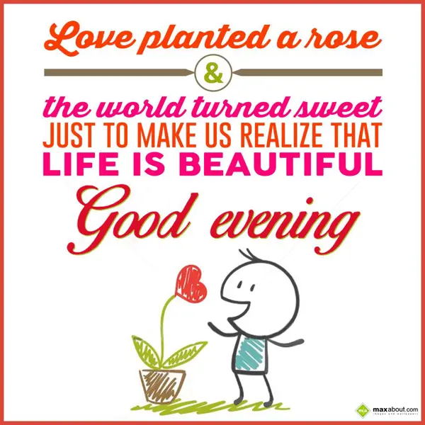 Evening Greetings Wishes: Love planted a rose 