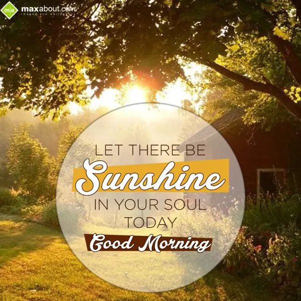 Good Morning Greetings Greetings Wishes: Let There Be Sunshin