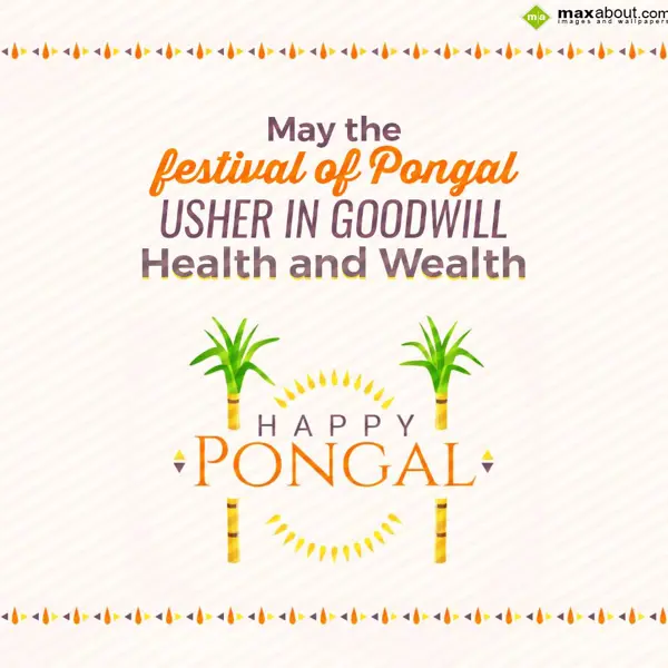 Pongal Wishes Greetings Wishes: May the 
Festival o