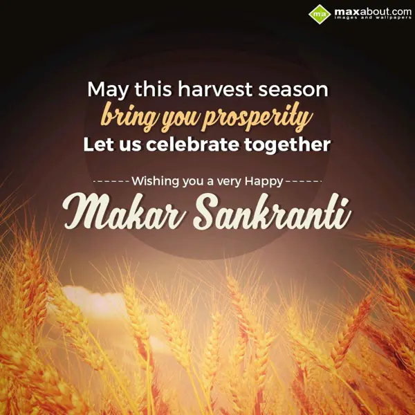 Makar Sankranti Greetings Wishes: May this harvest sea