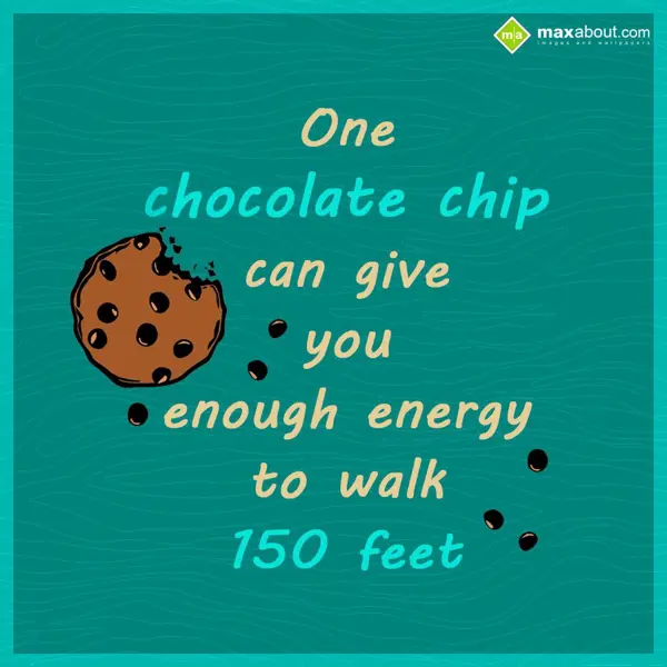 Facts Greetings Wishes: One chocolate chip c