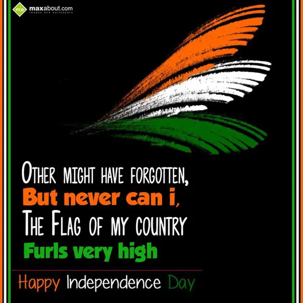 Independence Day Greetings Wishes: Other might have for