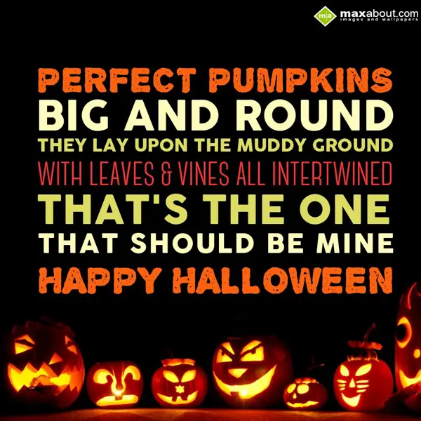 Halloween Greetings Wishes: Perfect Pumpkins Big