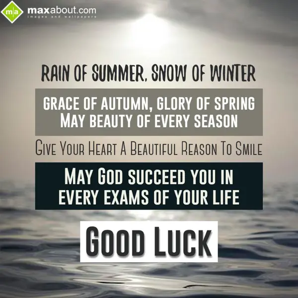 Good Luck Greetings Wishes: Rain of summer, snow