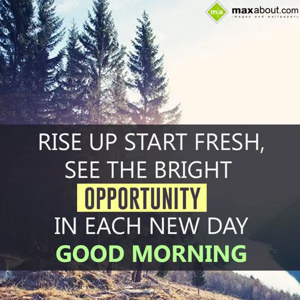 Good Morning Greetings Wishes: Rise up start fresh,