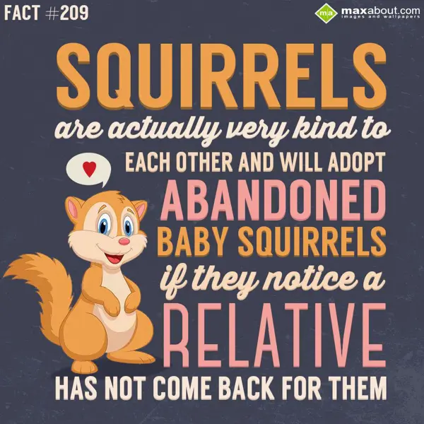 Animal Facts Greetings Wishes: Squirrels are actual