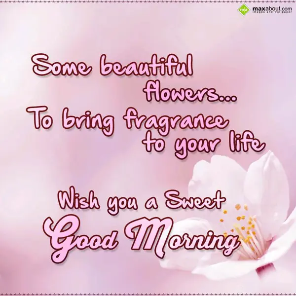 Good Morning Greetings Greetings Wishes: Some beautiful flowe