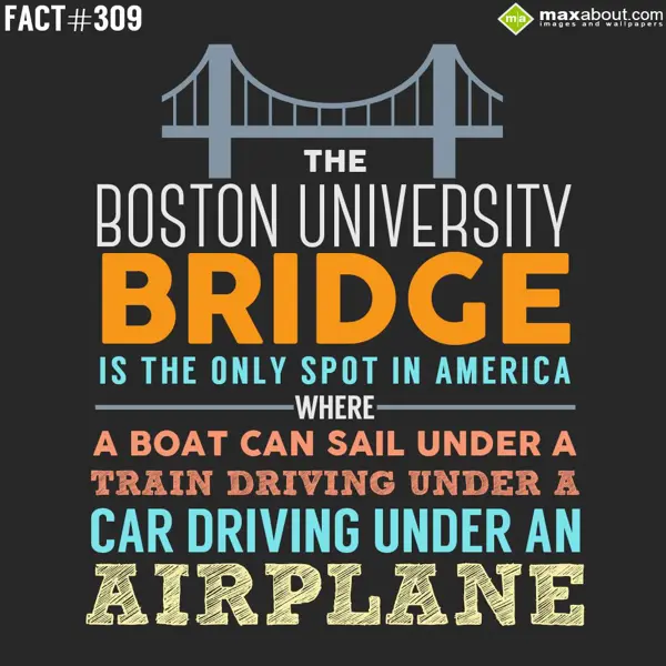 Country Facts Greetings Wishes: The Boston Universit