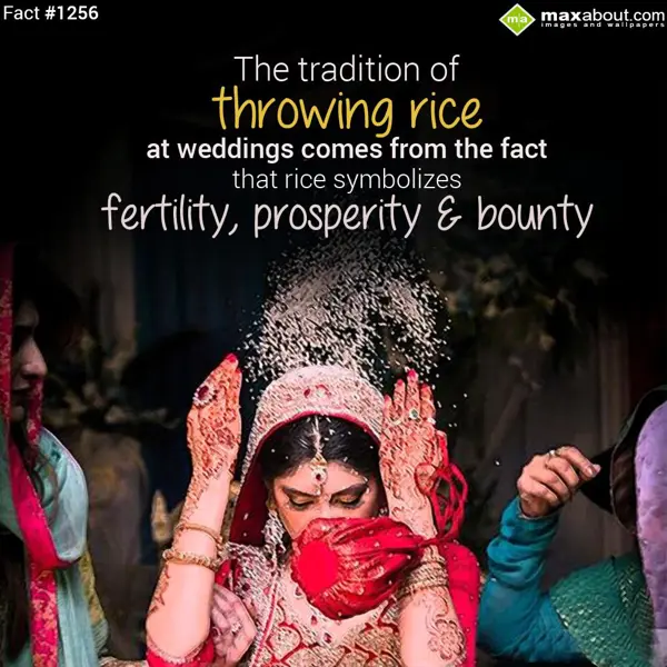 Facts Greetings Wishes: The tradition of thr