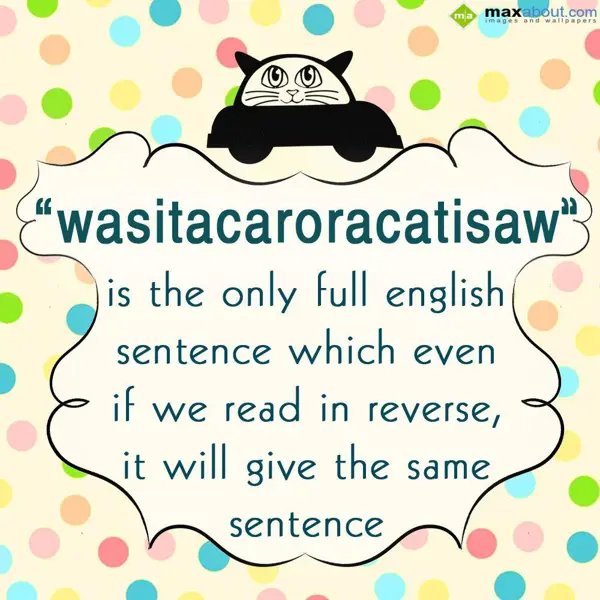 Miscellaneous Facts Greetings Wishes: Wasitacaroracatisaw 