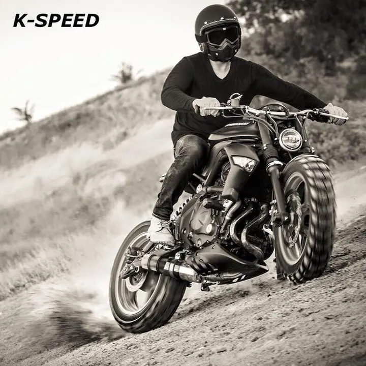 Kawasaki ER-6n MAD MAX