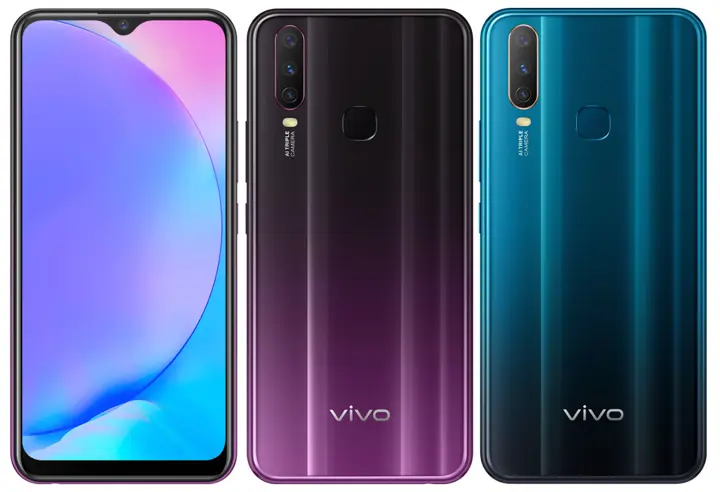 Vivo Y17 Colour Options